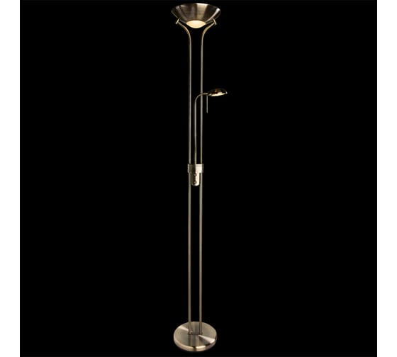 Напольный светильник Arte Lamp A4329PN-2AB