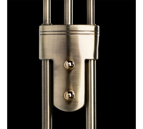 Напольный светильник Arte Lamp A4329PN-2AB