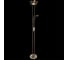 Напольный светильник Arte Lamp A4329PN-2AB 4