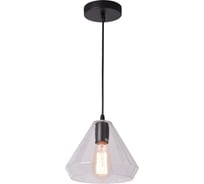 Подвесной светильник Arte Lamp A4281SP-1CL