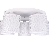 Потолочный светильник Arte Lamp A8349PL-5WH