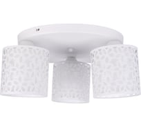 Потолочный светильник Arte Lamp A8349PL-3WH