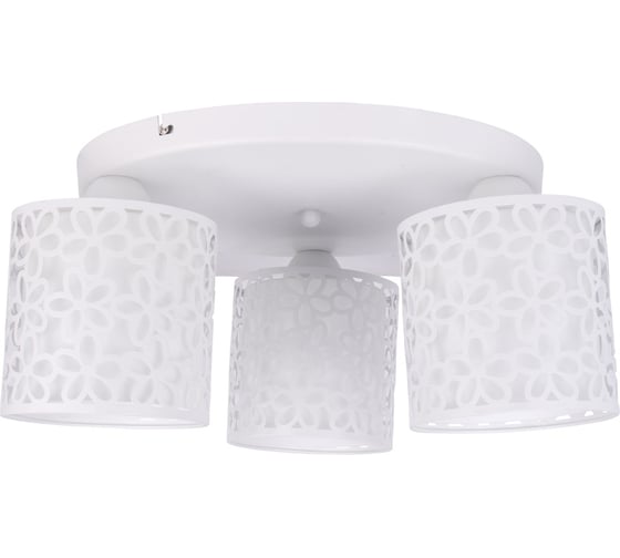 Потолочный светильник Arte Lamp A8349PL-3WH