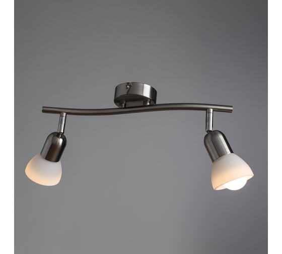 Потолочный светильник Arte Lamp A3115PL-2SS