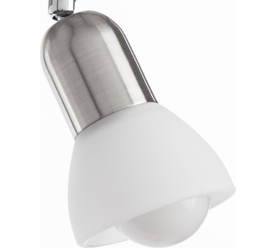 Потолочный светильник Arte Lamp A3115PL-2SS
