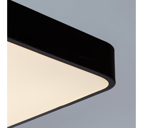 Потолочный светильник Arte Lamp A2662PL-1BK