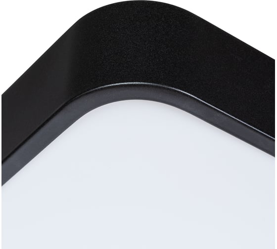 Потолочный светильник Arte Lamp A2662PL-1BK