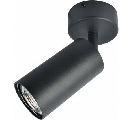 Потолочный светильник Arte Lamp A3216PL-1BK