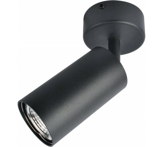 Потолочный светильник Arte Lamp A3216PL-1BK 1