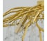 Светильник ElegantLight DZN- GOLD/ЗОЛОТО 12209 2