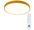 Потолочный светильник Arte Lamp A2661PL-1YL 1