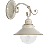 Настенный светильник Arte Lamp A4577AP-1WG