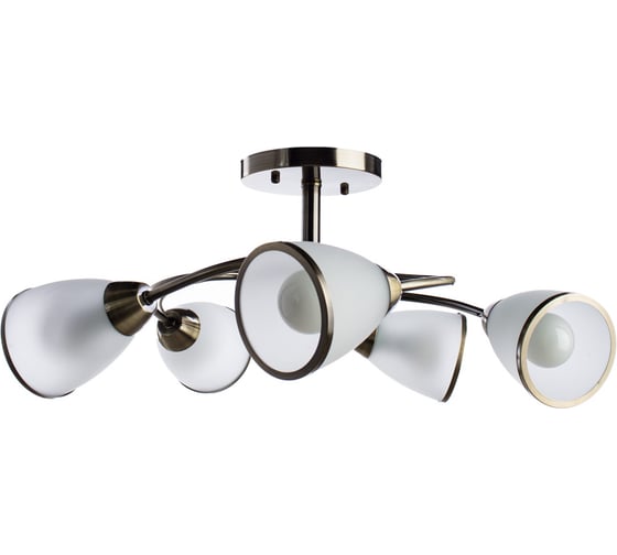 Потолочный светильник Arte Lamp A6056PL-5AB 1