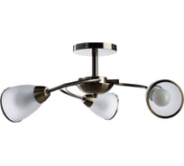 Потолочный светильник Arte Lamp A6056PL-3AB