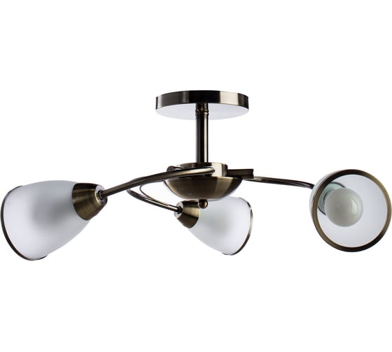 Потолочный светильник Arte Lamp A6056PL-3AB 1