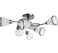 Потолочный светильник Arte Lamp A6059PL-6AB