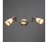 Настенный светильник Arte Lamp A9231AP-2AB 2