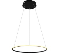 Подвесной светильник Arte Lamp A2500SP-1BK