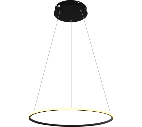 Подвесной светильник Arte Lamp A2500SP-1BK 1