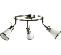 Потолочный светильник Arte Lamp A9231PL-3AB