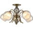 Потолочный светильник Arte Lamp A1607PL-5AB 1