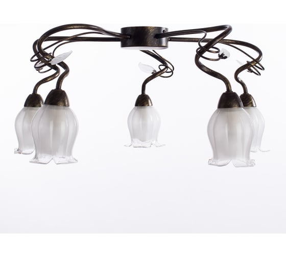 Потолочный светильник Arte Lamp A7449PL-5BR 1