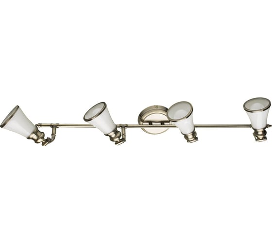 Потолочный светильник Arte Lamp A9231PL-4AB