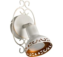 Настенный светильник Arte Lamp A5219AP-1WG