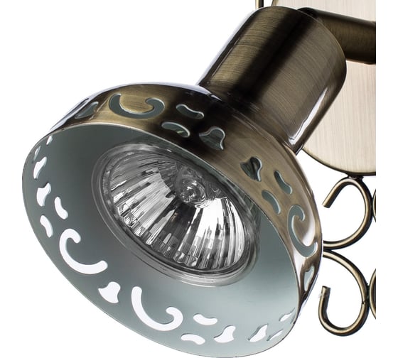 Настенный светильник Arte Lamp A5219AP-1BR