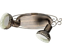 Настенный светильник Arte Lamp A5219AP-2BR