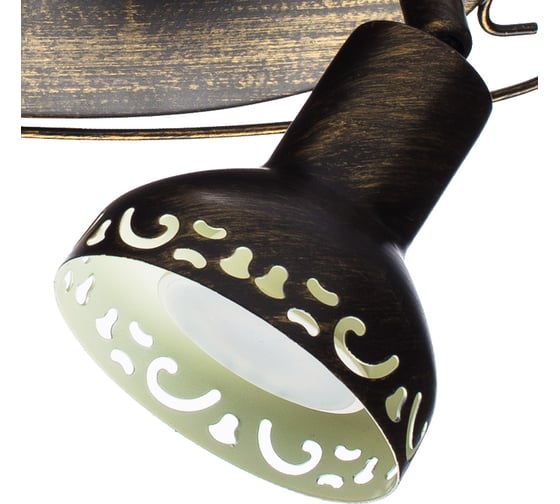 Настенный светильник Arte Lamp A5219AP-2BR