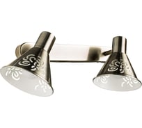 Настенный светильник Arte Lamp A5218AP-2AB
