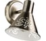 Настенный светильник Arte Lamp A5218AP-1AB 1