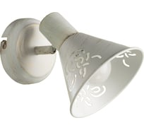 Настенный светильник Arte Lamp A5218AP-1WG