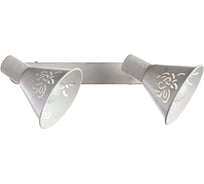 Настенный светильник Arte Lamp A5218AP-2WG