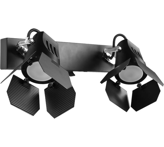 Настенный светильник Arte Lamp A3092AP-2BK