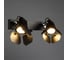 Настенный светильник Arte Lamp A3092AP-2BK 2