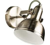 Настенный светильник Arte Lamp A5213AP-1AB