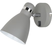 Настенный светильник Arte Lamp A5049AP-1GY