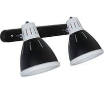 Настенный светильник Arte Lamp A2215AP-2BK