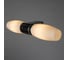 Настенный светильник Arte Lamp A1209AP-2CC 4