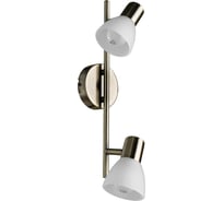 Настенный светильник Arte Lamp A5062AP-2AB