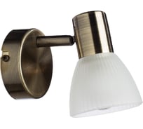 Настенный светильник Arte Lamp A5062AP-1AB