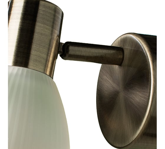 Настенный светильник Arte Lamp A5062AP-1AB
