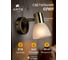 Настенный светильник Arte Lamp A5062AP-1AB 5