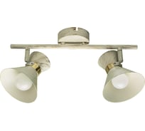 Светильник Arte Lamp A1406AP-2WG