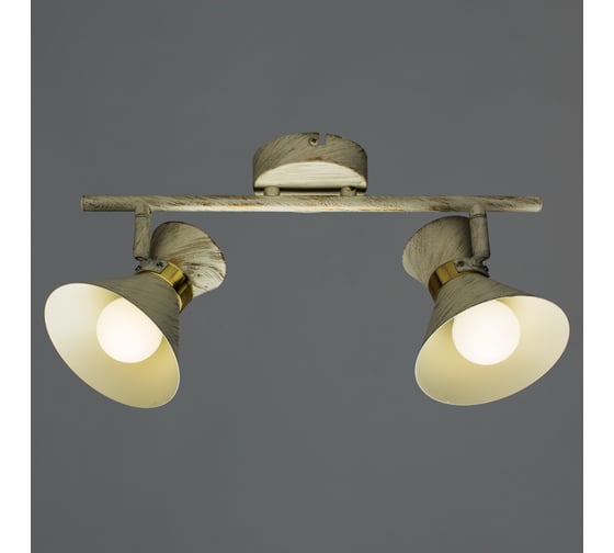 Светильник Arte Lamp A1406AP-2WG