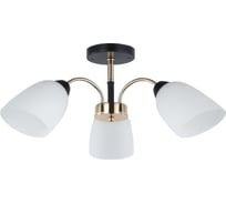 Люстра ЭкономСвет в стиле модерн 12222/3BK+FGD WT