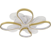 Потолочный светодиодный светильник ЭкономСвет 51209/4+4WT+GD