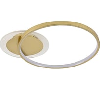 Потолочный светодиодный светильник ЭкономСвет 51210/1GD